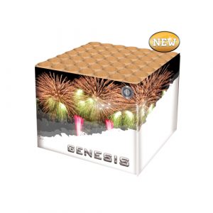 Genesis-1